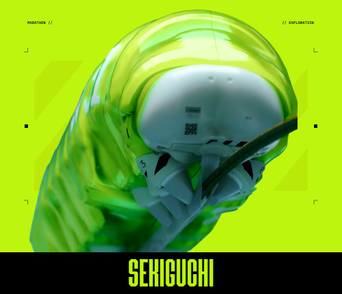 Sekiguchi Reputation
