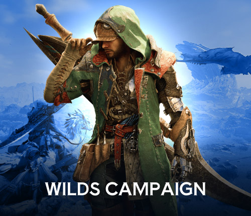 Monster Hunter Wilds Campaign