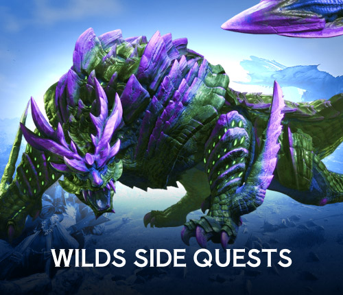 Monster Hunter Wilds Side Quests
