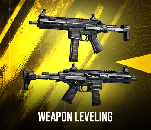 MW4 Weapon Leveling