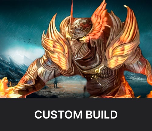 CUSTOM BUILD SERVICE