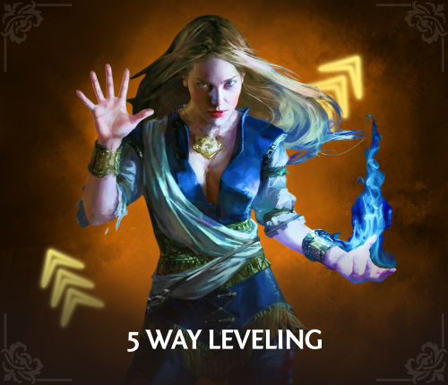 POE 5 WAY LEVELING BOOST