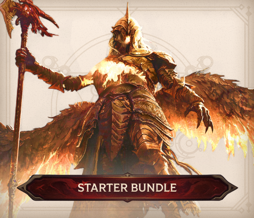 POE 2 STARTER BUNDLE