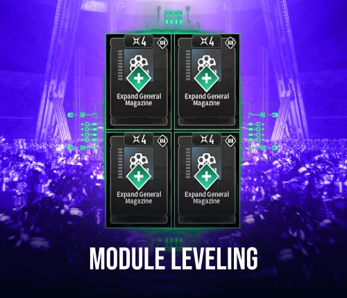 MODULE LEVELING