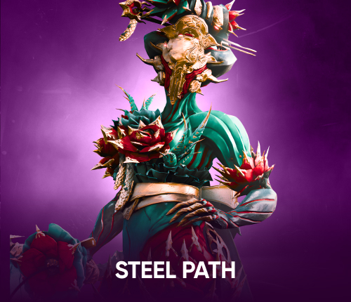 STEEL PATH COMPLETION