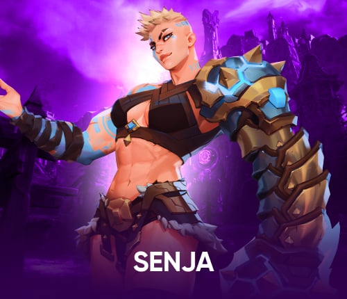 Wayfinder Senja Powerleveling