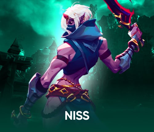 Wayfinder Niss Powerleveling
