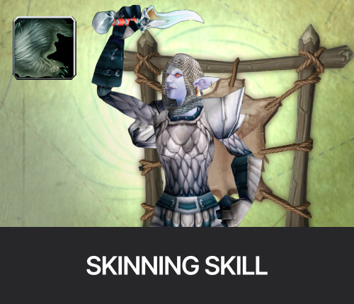 Classic Era Skinning
