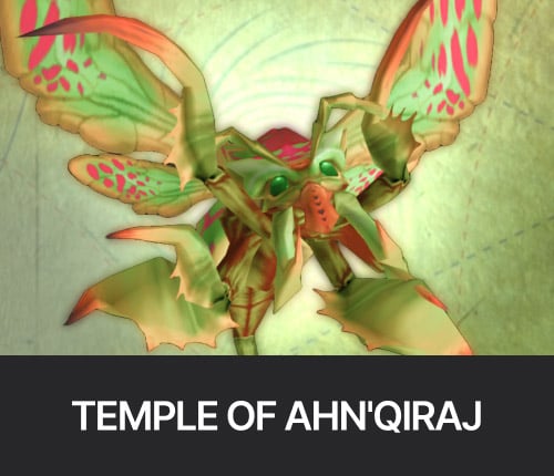 TEMPLE OF AHN'QIRAJ RAID