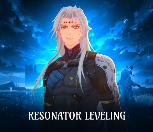 Resonator Leveling