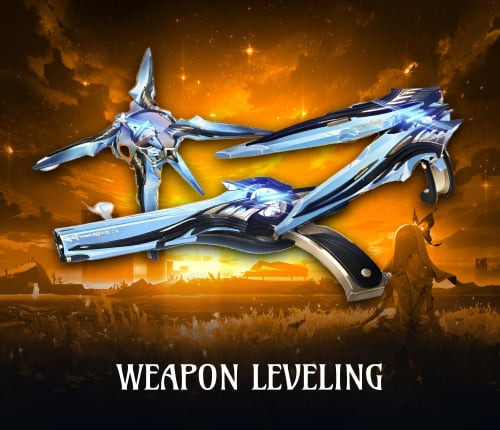 Weapon Leveling