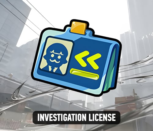 ZZZ INVESTIGATION LICENSE LEVELING